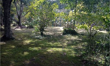 Venta de Finca en La Ceja, vereda Lomitas