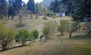 Venta de Finca en La Ceja, vereda Lomitas