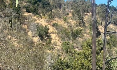 Terreno en Lolol