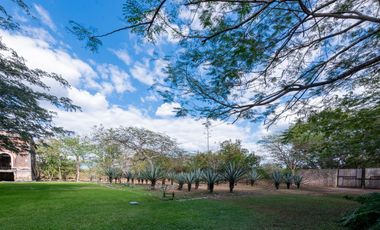 HACIENDA OASIS DE RELAX EN YUCATÁN