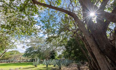 HACIENDA OASIS DE RELAX EN YUCATÁN