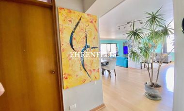 San martín. Viña poniente, Viña del Mar