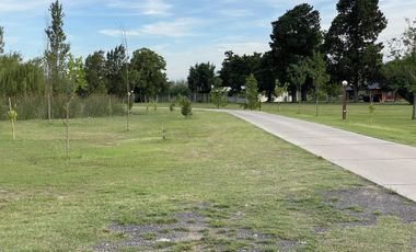 Terreno - Oeste