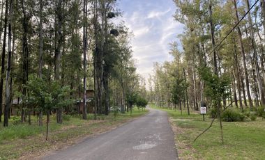 Terreno - Oeste