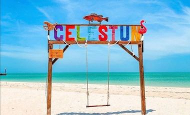 TERRENO EN VENTA EN EL CENTRO DE CELESTÚN, YUCATAN