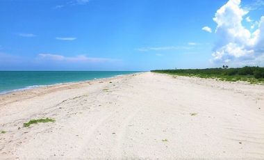 TERRENO EN VENTA EN EL CENTRO DE CELESTÚN, YUCATAN