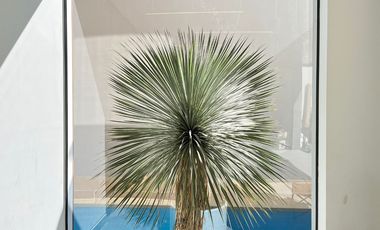 A media cuadra de Rio Mayo zona de agencias