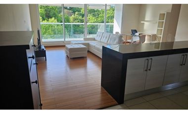 ALQUILER DE APARTAMENTO EN CLAYTON - CLAYTON PARK