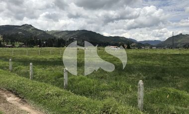 TERRENO EN VENTA SECTOR TARQUI, CUENCA