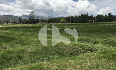 TERRENO EN VENTA SECTOR TARQUI, CUENCA