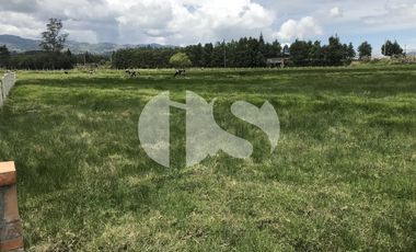 TERRENO EN VENTA SECTOR TARQUI, CUENCA