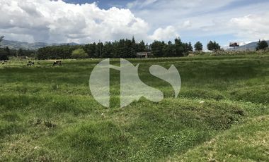 TERRENO EN VENTA SECTOR TARQUI, CUENCA