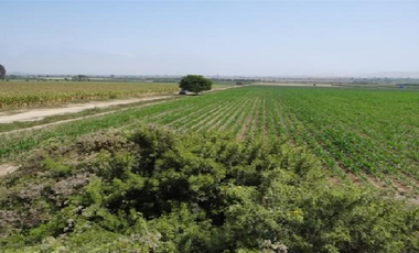 Terreno venta en Nuevo Imperial, Cañete