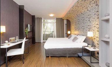 ALQUILER ANUAL MONOAMBIENTE AMOBL PALERMO  BALCON