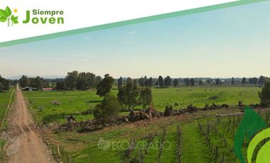 Parcela en venta en CHILLÁN VIEJO