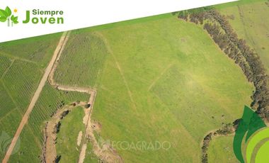 Parcela en venta en CHILLÁN VIEJO