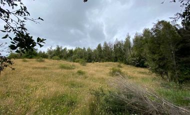 Parcela en venta  en DALCAHUE