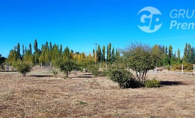 Parcela en Venta en N 840, Santa María del Pilar, Libuy