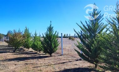 Parcela en Venta en N 840, Santa María del Pilar, Libuy