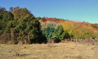 Plot for sale in REMAX Cordillera