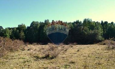 Plot for sale in REMAX Cordillera