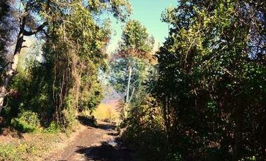 Plot for sale in REMAX Cordillera