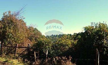 Plot for sale in REMAX Cordillera