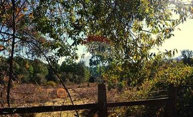 Plot for sale in REMAX Cordillera