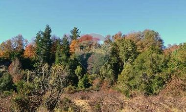 Plot for sale in REMAX Cordillera