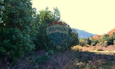Plot for sale in REMAX Cordillera