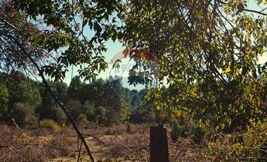 Plot for sale in REMAX Cordillera