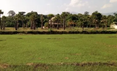 Land for sale in Mae Raem, Chiang Mai
