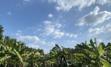 Land for sale in Mae Raem, Chiang Mai