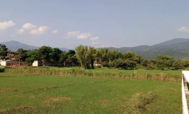 Land for sale in Mae Raem, Chiang Mai