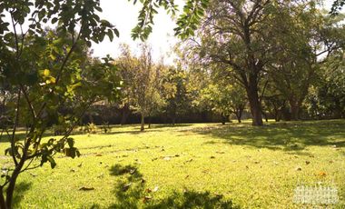 VILLA DEL JAZMIN