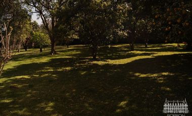 VILLA DEL JAZMIN