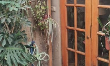 PASAJE CERRO CASTILLO