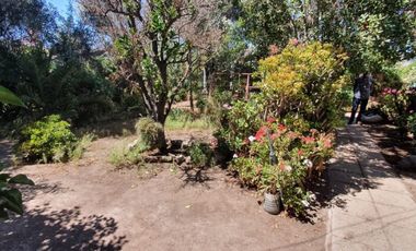 LUCIANO ORTIZ CON ISABEL LA CATOLICA