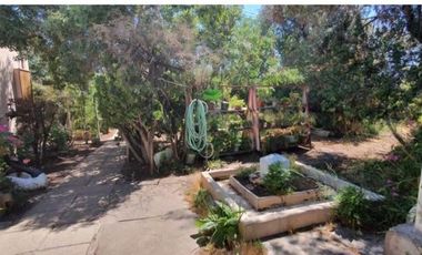 LUCIANO ORTIZ CON ISABEL LA CATOLICA