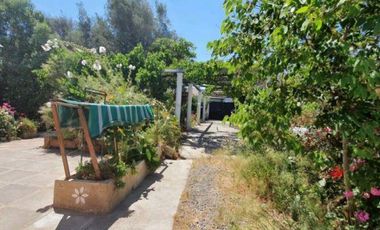 LUCIANO ORTIZ CON ISABEL LA CATOLICA