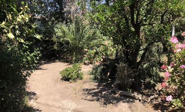 LUCIANO ORTIZ CON ISABEL LA CATOLICA