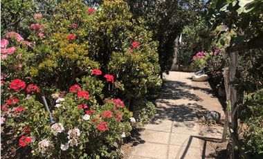 LUCIANO ORTIZ CON ISABEL LA CATOLICA