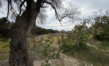 Terreno en Venta, Chapala, 32 Ha