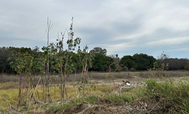 Terreno en Venta, Chapala, 32 Ha