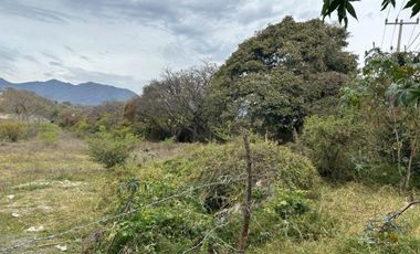 Terreno en Venta, Chapala, 32 Ha