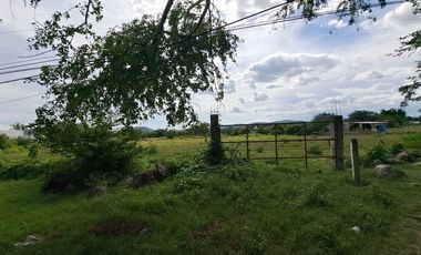 Terreno en Venta, Cuautla, 5,048 m2