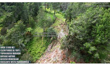 Lote con escrituras al 100% en el santuario ant vereda palmarcito