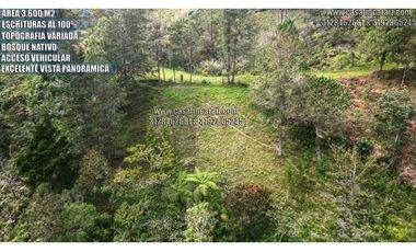 Lote con escrituras al 100% en el santuario ant vereda palmarcito