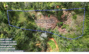 Lote con escrituras al 100% en el santuario ant vereda palmarcito
