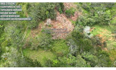 Lote con escrituras al 100% en el santuario ant vereda palmarcito
